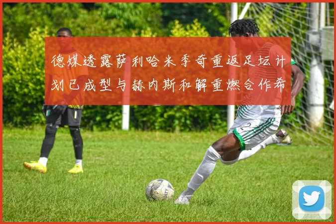 德媒透露萨利哈米季奇重返足坛计划已成型与赫内斯和解重燃合作希望