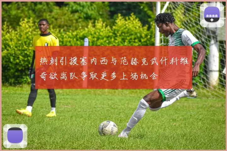 热刺引援塞内西与范赫克武什科维奇欲离队争取更多上场机会